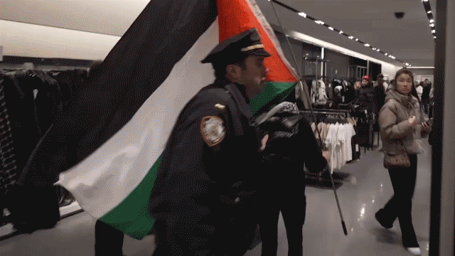 Arrests made as pro-Palestinian protesters burst into ZARA store on Black Friday
