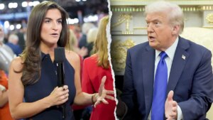 CNN's Kaitlan Collins claims it's not her job to 'take down' President Trump