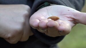 California farmers push back on Prop 50 redistricting plan