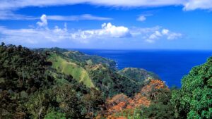 Colorado man Christopher Brown killed in Tobago stabbing, suspect arrested