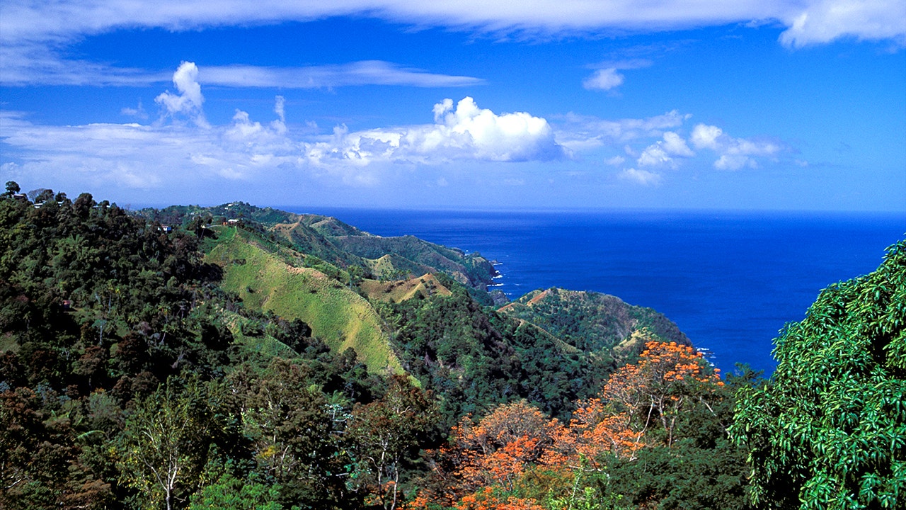 Colorado man Christopher Brown killed in Tobago stabbing, suspect arrested