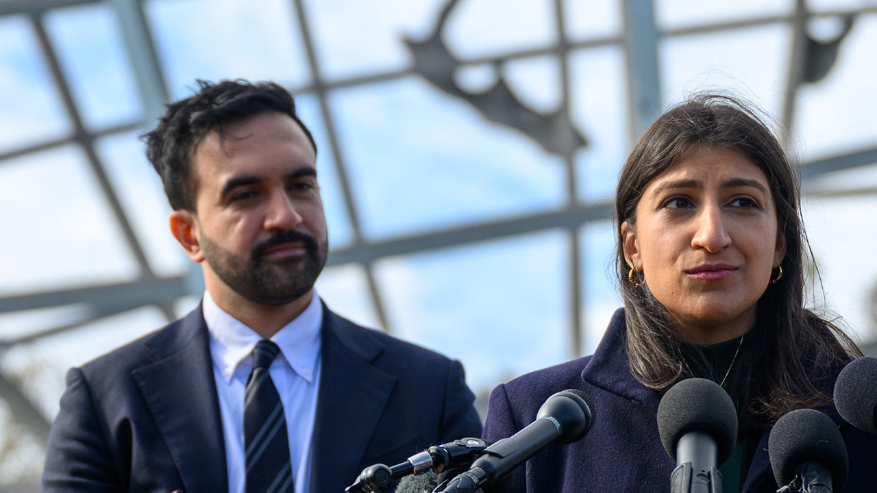 Top Mamdani transition official was heavily influenced by Soros network during Biden years