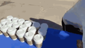 University of Iowa student arrested for alleged TPUSA table flipping