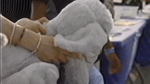 gif of holiday ad promoting CBP Home App